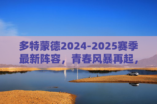 多特蒙德2024-2025赛季最新阵容，青春风暴再起，黄黑军团的争冠拼图，青春风暴再起！多特蒙德2024-25赛季争冠新阵