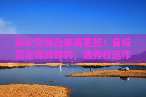 热火交易动态再更新!目标锁定锋线悍将,选秀权运作成焦点,热火交易动态再更新,锋线悍将锁定,选秀权运作成焦点