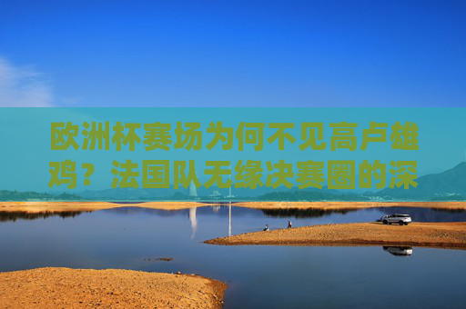 欧洲杯赛场为何不见高卢雄鸡?法国队无缘决赛圈的深层解析,高卢雄鸡缺席欧洲杯,法国队无缘决赛圈深层解析