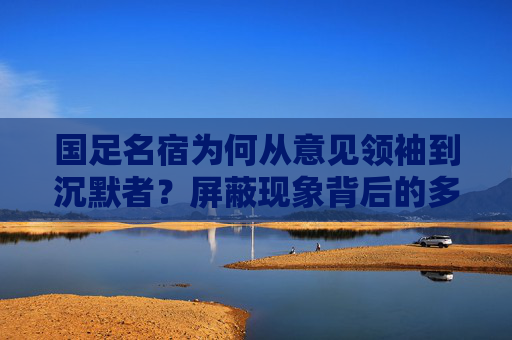 国足名宿为何从意见领袖到沉默者?屏蔽现象背后的多维解读,国足名宿从意见领袖到沉默者,屏蔽现象的多维解读