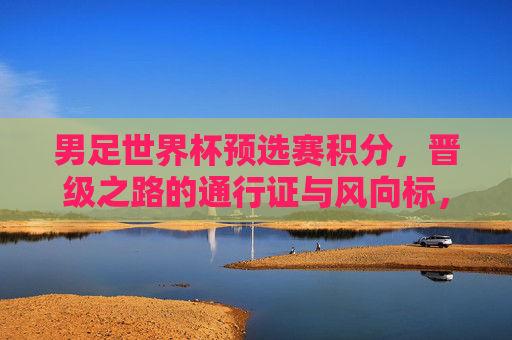 男足世界杯预选赛积分,晋级之路的通行证与风向标,男足世界杯预选赛积分,晋级之路的通行证与风向标