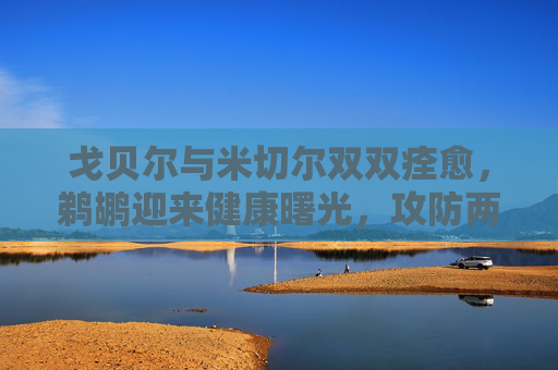 戈贝尔与米切尔双双痊愈,鹈鹕迎来健康曙光,攻防两端再迎核心回归,戈贝尔米切尔痊愈,鹈鹕核心回归攻防迎曙光