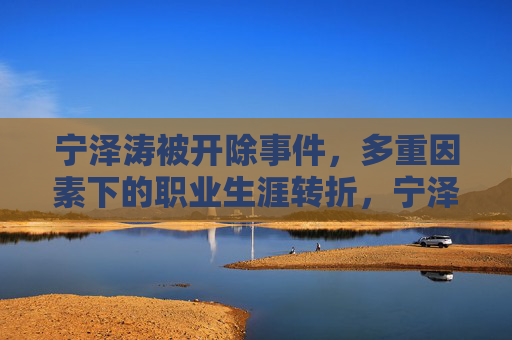 宁泽涛被开除事件,多重因素下的职业生涯转折,宁泽涛被开除,多重因素下的职业生涯转折