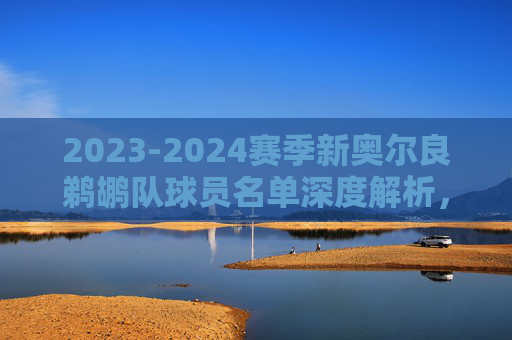 2023-2024赛季新奥尔良鹈鹕队球员名单深度解析，双星闪耀下的青春风暴，2023-2024赛季新奥尔良鹈鹕队，双星闪耀的青春风暴球员名单解析
