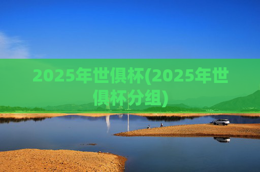 2025年世俱杯(2025年世俱杯分组)