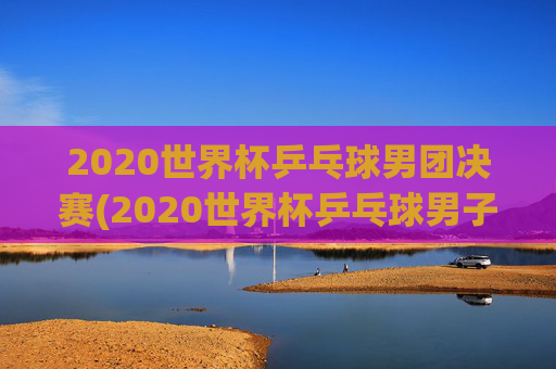 2020世界杯乒乓球男团决赛(2020世界杯乒乓球男子决赛)