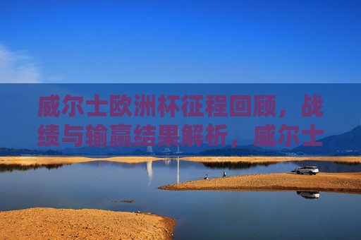 威尔士欧洲杯征程回顾，战绩与输赢结果解析，威尔士欧洲杯征程回顾，战绩与输赢结果解析