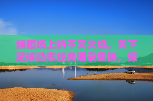 绿茵场上的不灭火焰,天下足球励志经典语录集锦,绿茵不灭焰,天下足球励志语录集锦