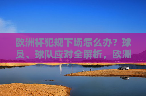 欧洲杯犯规下场怎么办?球员、球队应对全解析,欧洲杯犯规下场怎么办?球员与球队应对全解析