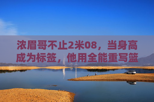 浓眉哥不止2米08,当身高成为标签,他用全能重写篮球真理,浓眉哥,不止2米08,全能重写篮球真理
