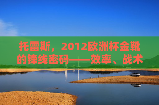 托雷斯,2012欧洲杯金靴的锋线密码——效率、战术与关键先生属性的完美融合,托雷斯2012欧洲杯金靴,锋线密码——效率、战术与关键先生属性的完美融合