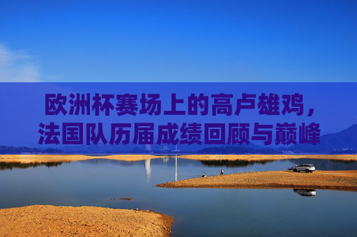 欧洲杯赛场上的高卢雄鸡，法国队历届成绩回顾与巅峰时刻，欧洲杯高卢雄鸡，法国队历届成绩回顾与巅峰时刻