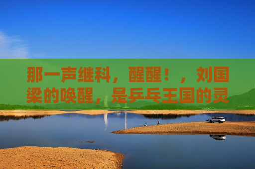 那一声继科,醒醒!,刘国梁的唤醒,是乒乓王国的灵魂密码