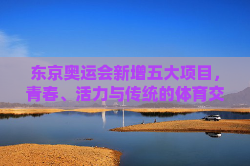东京奥运会新增五大项目,青春、活力与传统的体育交响,东京奥运会新增五大项目,青春活力与传统体育交响
