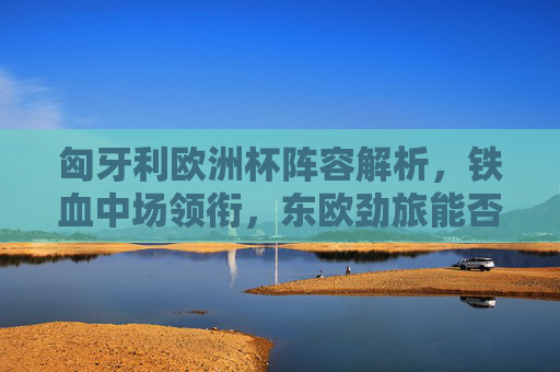 匈牙利欧洲杯阵容解析，铁血中场领衔，东欧劲旅能否再掀黑马风潮？匈牙利欧洲杯，铁血中场领衔，东欧劲旅能否再掀黑马风潮？