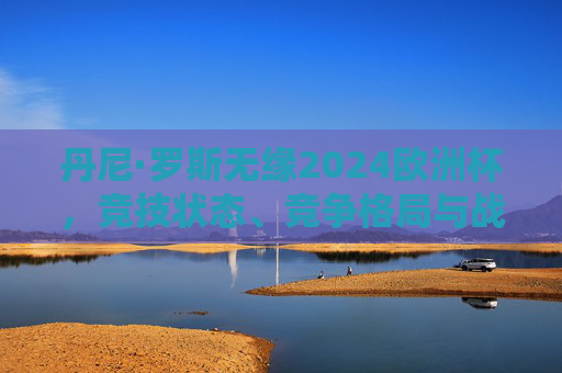 丹尼·罗斯无缘2024欧洲杯,竞技状态、竞争格局与战术考量的综合解析,丹尼·罗斯无缘2024欧洲杯,竞技状态、竞争格局与战术考量的综合解析
