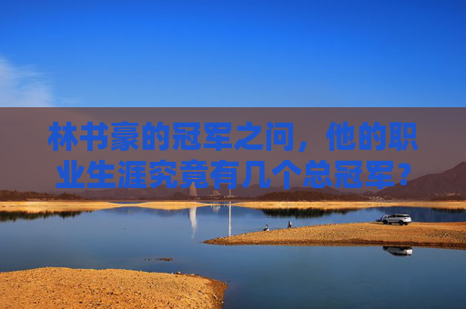 林书豪的冠军之问，他的职业生涯究竟有几个总冠军？林书豪的冠军之问，职业生涯究竟有几个总冠军？