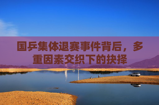 国乒集体退赛事件背后,多重因素交织下的抉择