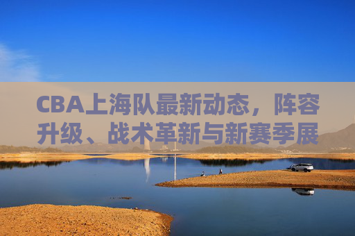 CBA上海队最新动态,阵容升级、战术革新与新赛季展望,CBA上海队新赛季展望,阵容升级与战术革新