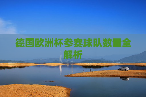 德国欧洲杯参赛球队数量全解析