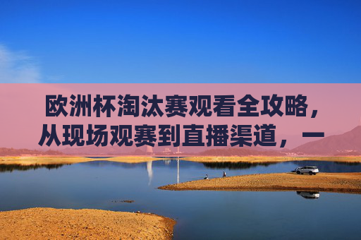 欧洲杯淘汰赛观看全攻略,从现场观赛到直播渠道,一篇搞定,欧洲杯淘汰赛观看全攻略,现场观赛与直播渠道一篇搞定