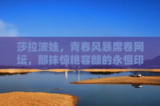 莎拉波娃，青春风暴席卷网坛，那抹惊艳容颜的永恒印记，莎拉波娃，青春风暴席卷网坛的永恒印记