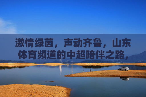 激情绿茵，声动齐鲁，山东体育频道的中超陪伴之路，绿茵声动齐鲁情，山东体育频道的中超陪伴之路