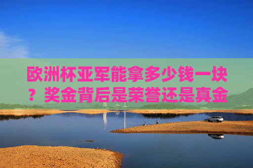 欧洲杯亚军能拿多少钱一块?奖金背后是荣誉还是真金白银?欧洲杯亚军奖金,荣誉还是真金白银?