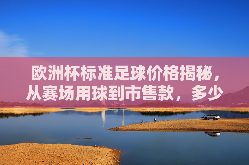 欧洲杯标准足球价格揭秘,从赛场用球到市售款,多少钱能买一个?欧洲杯标准足球价格揭秘,赛场用球到市售款多少钱能买一个?