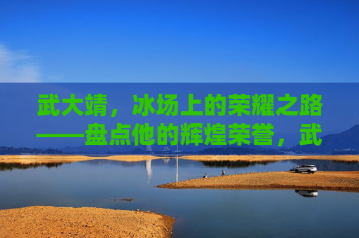 武大靖,冰场上的荣耀之路——盘点他的辉煌荣誉,武大靖,冰场上的荣耀之路