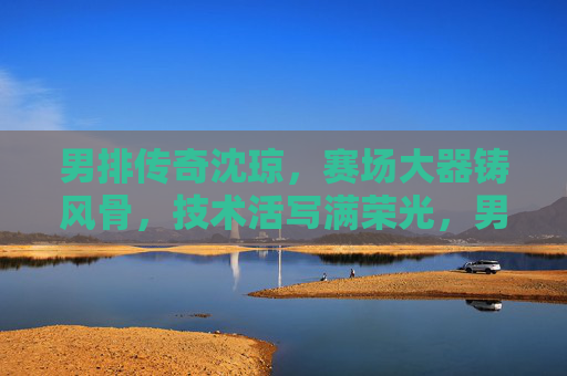 男排传奇沈琼，赛场大器铸风骨，技术活写满荣光，男排传奇沈琼，赛场铸风骨，技术写荣光