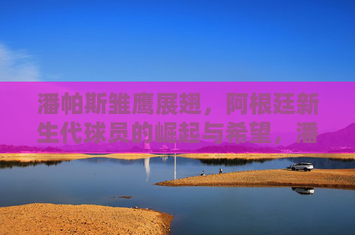 潘帕斯雏鹰展翅,阿根廷新生代球员的崛起与希望,潘帕斯雏鹰展翅,阿根廷新生代崛起与希望