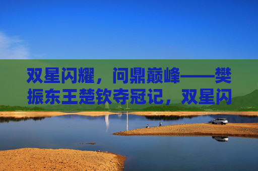 双星闪耀，问鼎巅峰——樊振东王楚钦夺冠记，双星闪耀，问鼎巅峰