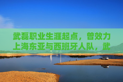 武磊职业生涯起点,曾效力上海东亚与西班牙人队,武磊职业生涯起点,从上海东亚到西班牙人队