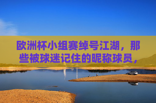 欧洲杯小组赛绰号江湖,那些被球迷记住的昵称球员,欧洲杯小组赛绰号江湖,球迷记住的昵称球员