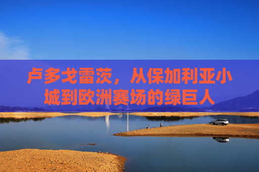 卢多戈雷茨,从保加利亚小城到欧洲赛场的绿巨人