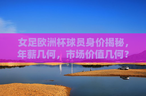 女足欧洲杯球员身价揭秘,年薪几何,市场价值几何?女足欧洲杯球员身价、年薪、市场价值几何