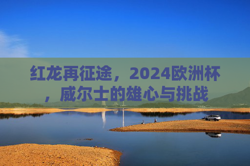 红龙再征途,2024欧洲杯,威尔士的雄心与挑战
