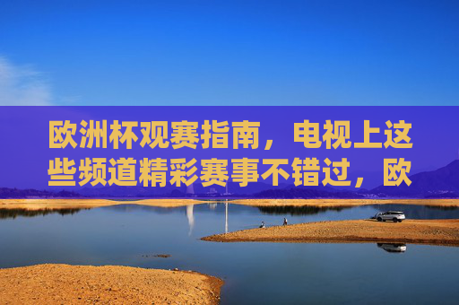 欧洲杯观赛指南，电视上这些频道精彩赛事不错过，欧洲杯观赛指南，电视频道精彩赛事不错过