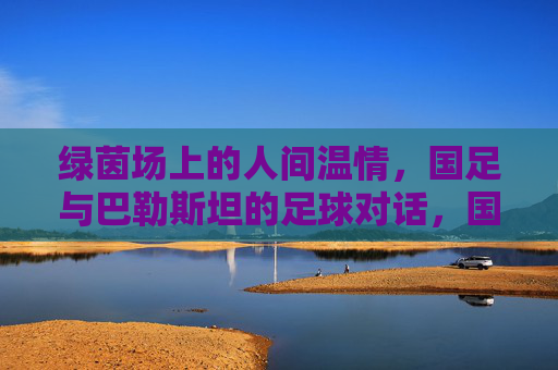 绿茵场上的人间温情,国足与巴勒斯坦的足球对话,国足与巴勒斯坦,绿茵场上的温情对话