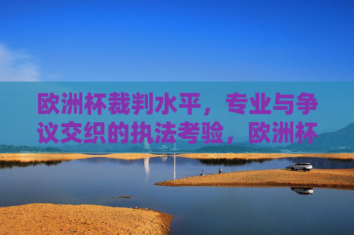 欧洲杯裁判水平,专业与争议交织的执法考验,欧洲杯裁判,专业与争议交织的执法考验