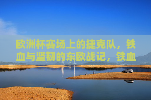 欧洲杯赛场上的捷克队,铁血与坚韧的东欧战记,铁血坚韧东欧战记,捷克欧洲杯征程
