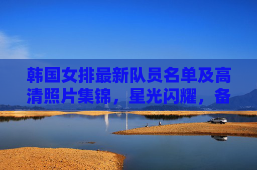 韩国女排最新队员名单及高清照片集锦,星光闪耀,备战新征程,韩国女排最新名单,星光闪耀,备战新征程