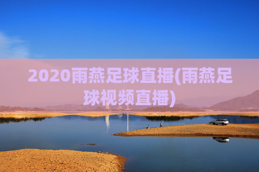 2020雨燕足球直播(雨燕足球视频直播)