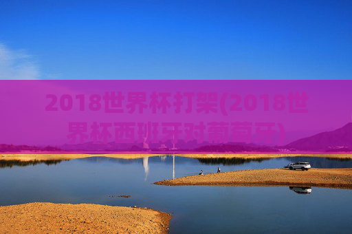 2018世界杯打架(2018世界杯西班牙对葡萄牙)