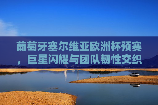 葡萄牙塞尔维亚欧洲杯预赛，巨星闪耀与团队韧性交织的出线生死战，葡萄牙塞尔维亚欧洲杯预赛，巨星闪耀与团队韧性的出线生死战