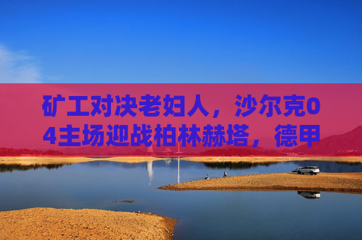 矿工对决老妇人,沙尔克04主场迎战柏林赫塔,德甲保级关键战打响,沙尔克04主场迎战柏林赫塔,德甲保级关键战打响