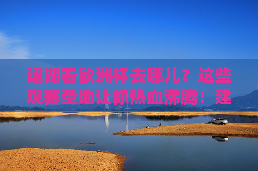 建湖看欧洲杯去哪儿?这些观赛圣地让你热血沸腾!建湖欧洲杯观赛圣地,热血沸腾看球好去处!