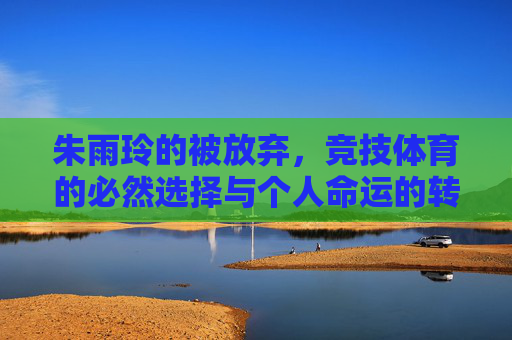 朱雨玲的被放弃,竞技体育的必然选择与个人命运的转折,朱雨玲被放弃,竞技体育必然选择下的个人命运转折
