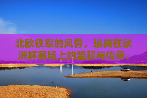 北欧铁军的风骨,瑞典在欧洲杯赛场上的坚韧与传承,北欧铁军的风骨,瑞典欧洲杯的坚韧传承